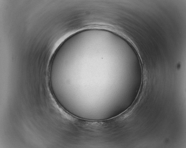 X0000116261533200912211726