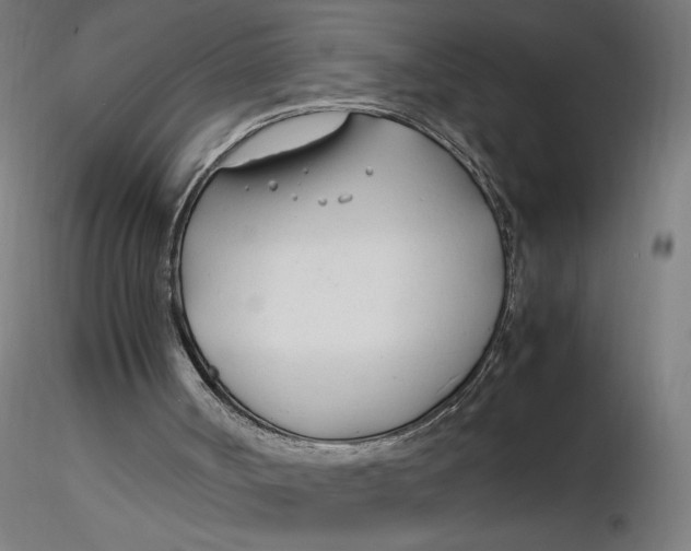 X0000116260002200912291506