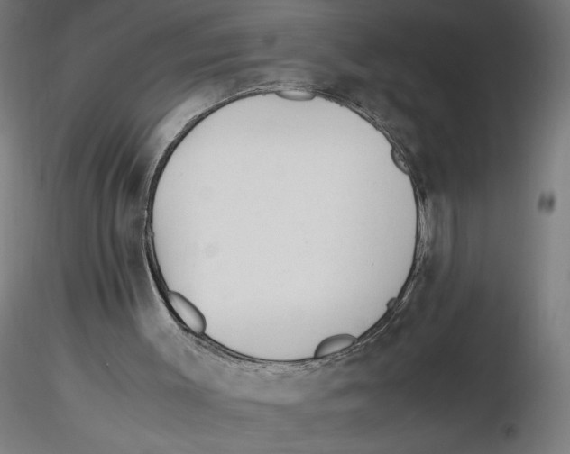 X0000116260003200912291506