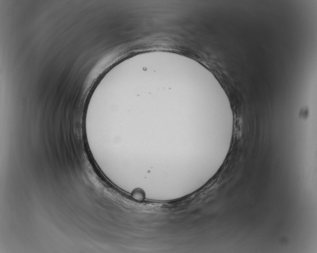 X0000116260004200912291506