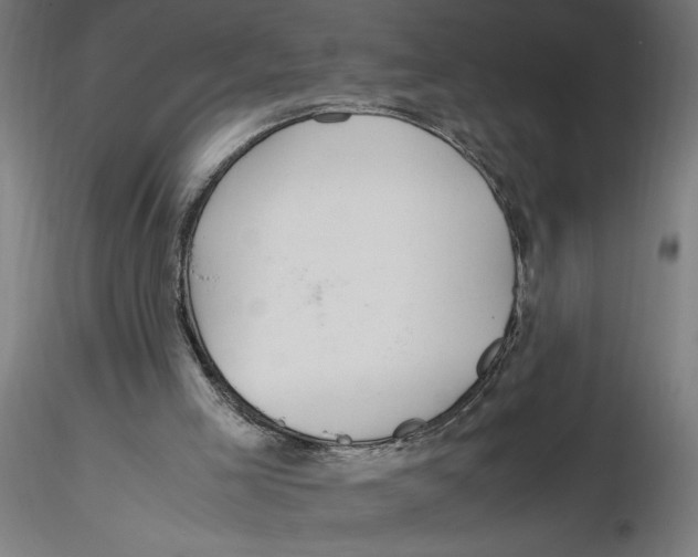 X0000116260005200912291506