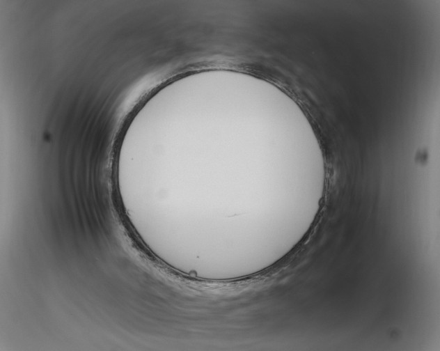 X0000116260006200912291506
