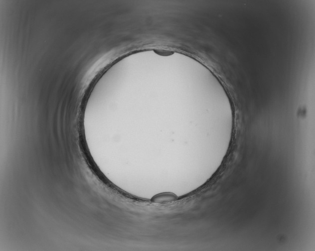X0000116260007200912291506