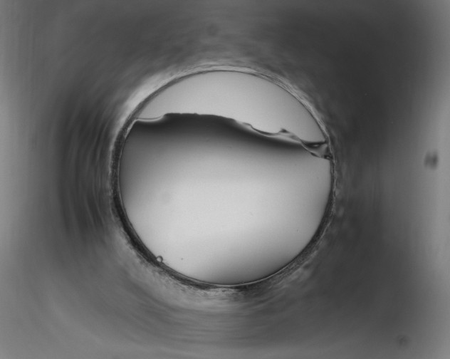 X0000116260008200912291506