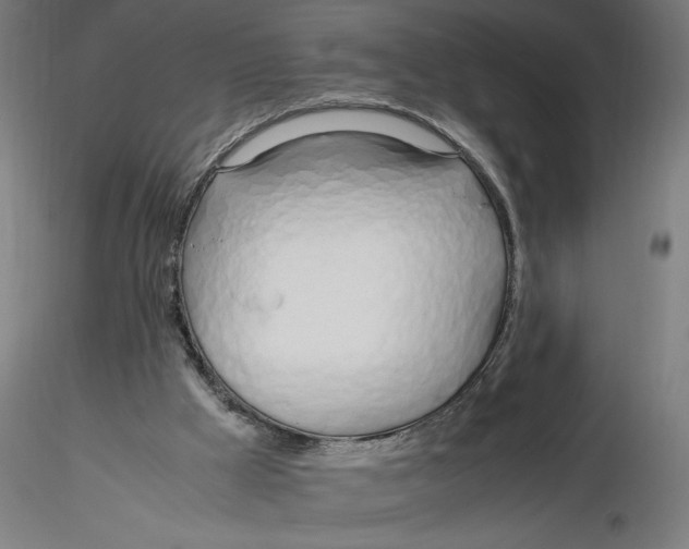 X0000116260009200912291506