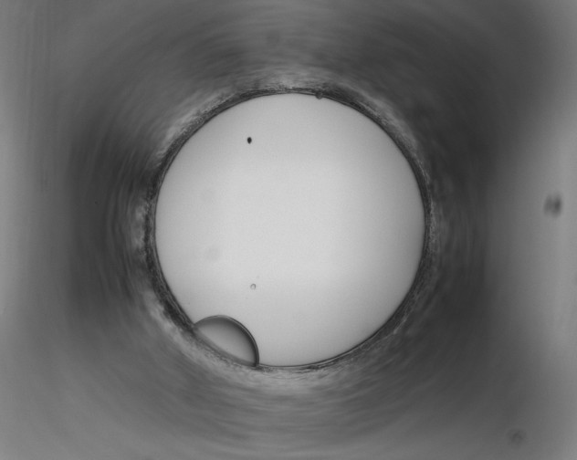 X0000116260010200912291506