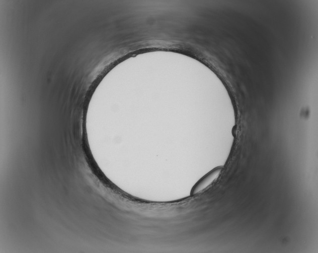 X0000116260011200912291506
