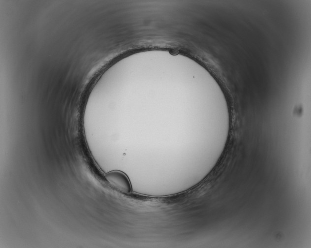 X0000116260012200912291506