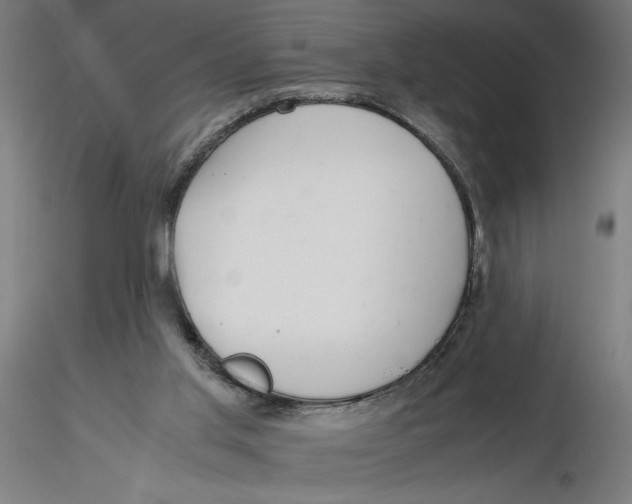 X0000116260013200912291506