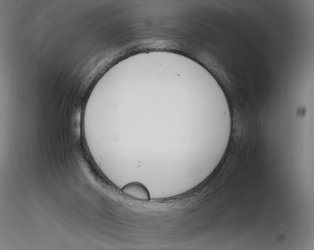 X0000116260014200912291506
