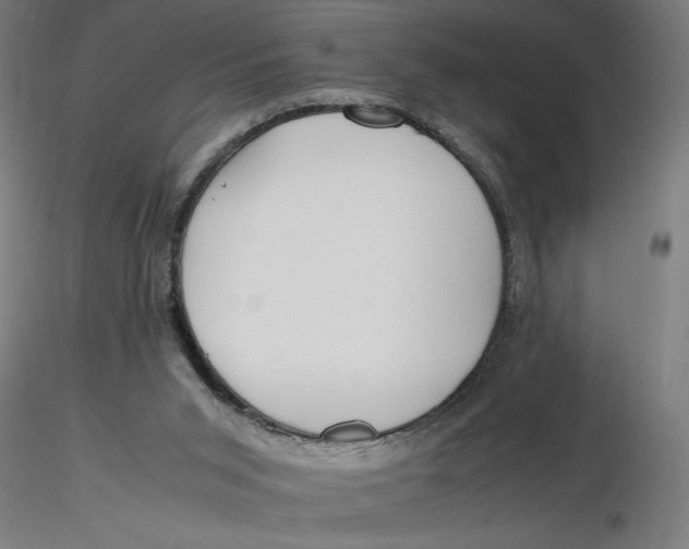 X0000116260015200912291506