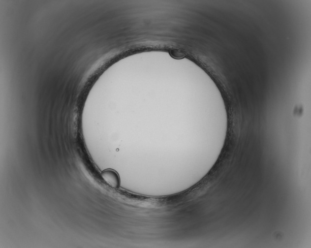 X0000116260016200912291506