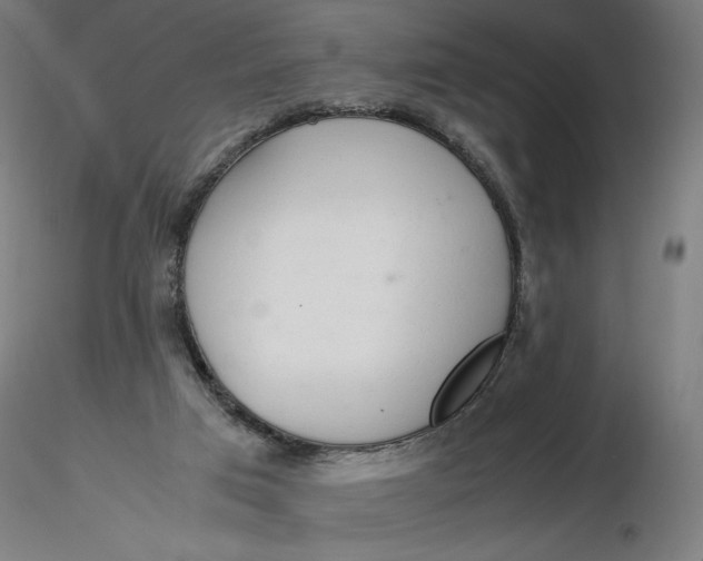 X0000116260017200912291506