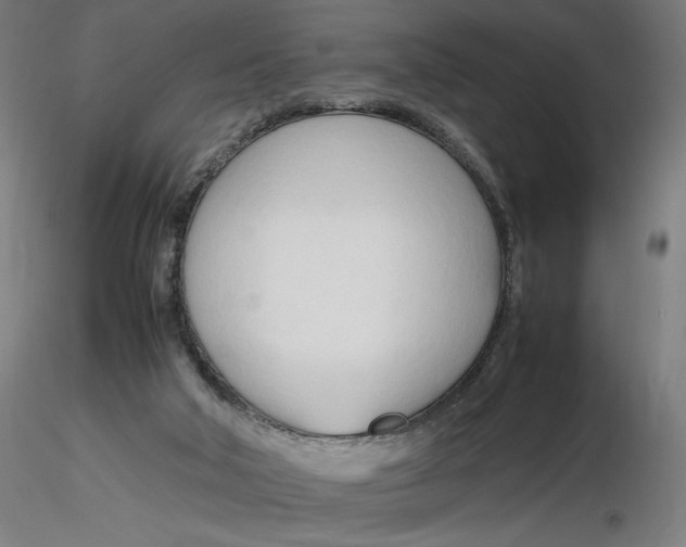 X0000116260018200912291506