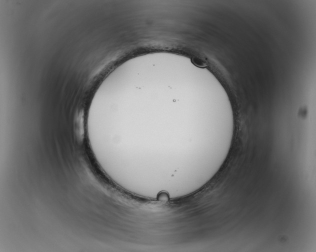 X0000116260020200912291506