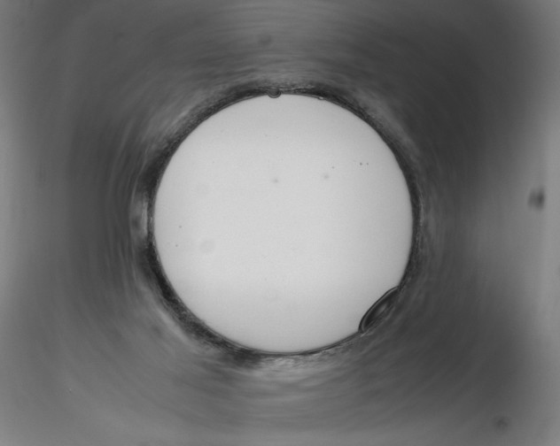 X0000116260021200912291506