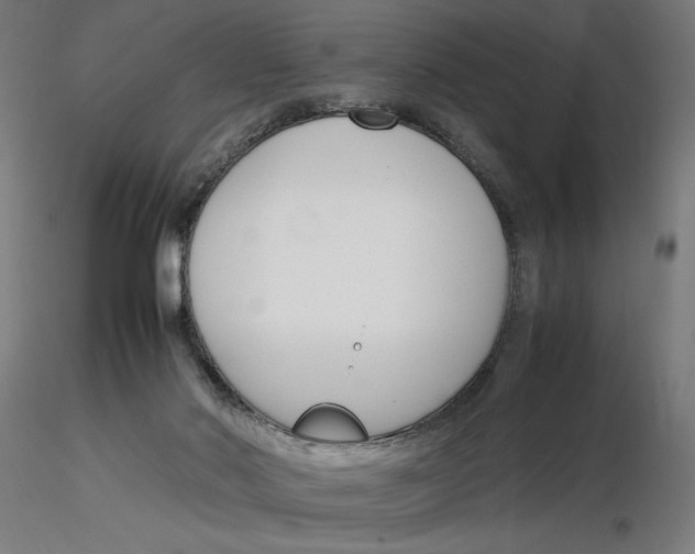 X0000116260022200912291506