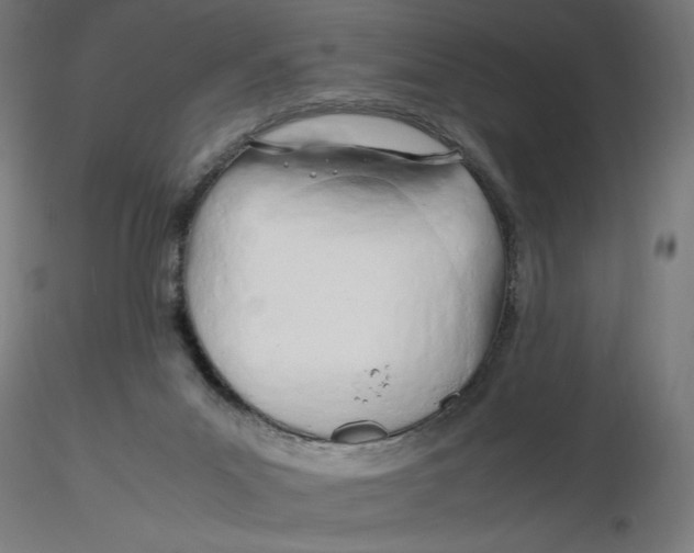X0000116260023200912291506