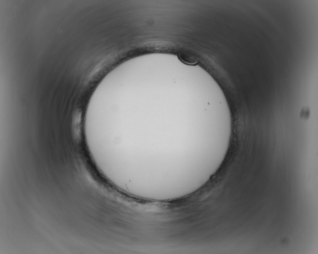 X0000116260024200912291506