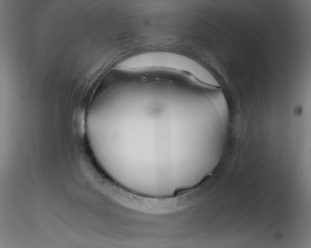 X0000116260027200912291506