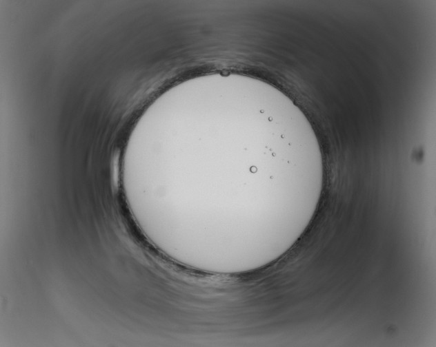 X0000116260028200912291506