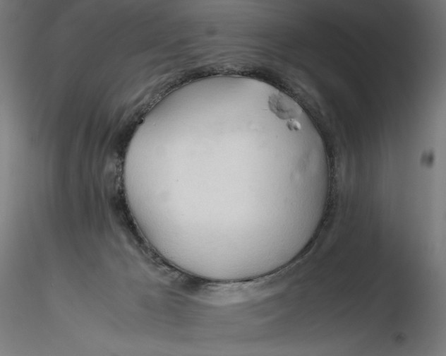X0000116260029200912291506