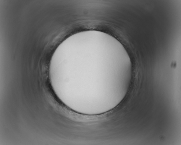 X0000116260031200912291506