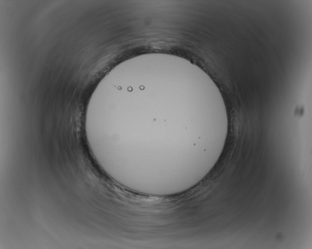 X0000116260032200912291506