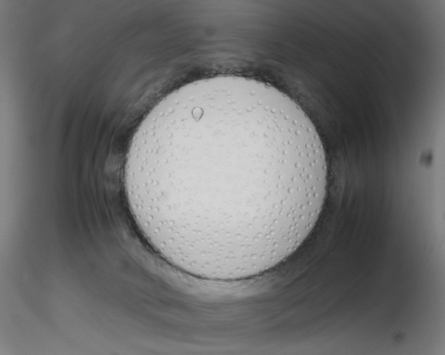 X0000116260034200912291506