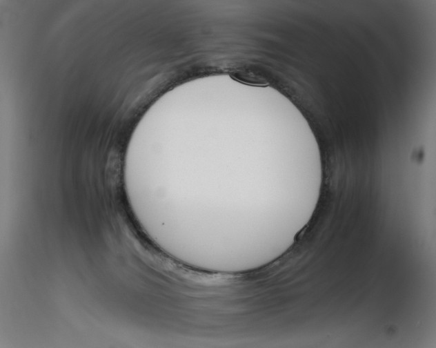 X0000116260036200912291506