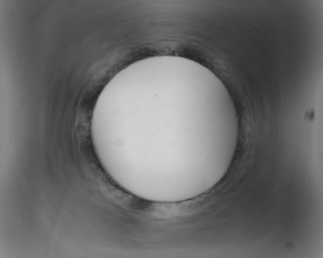 X0000116260037200912291506