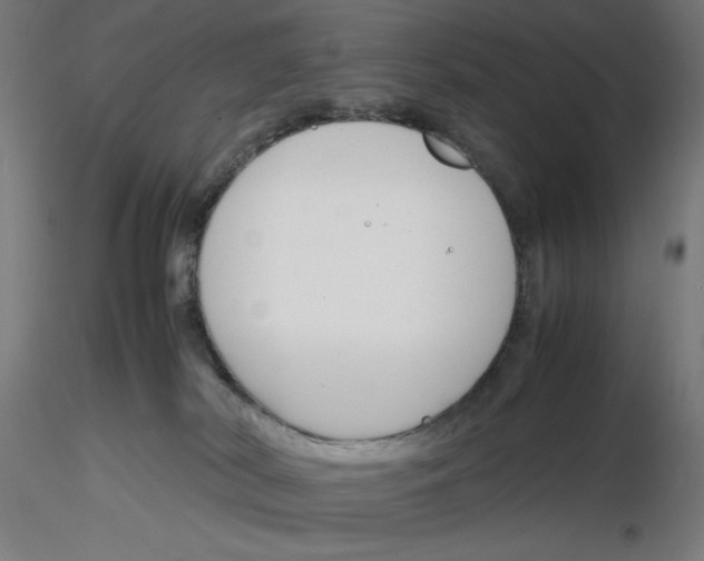 X0000116260038200912291506