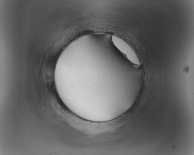 X0000116260039200912291506