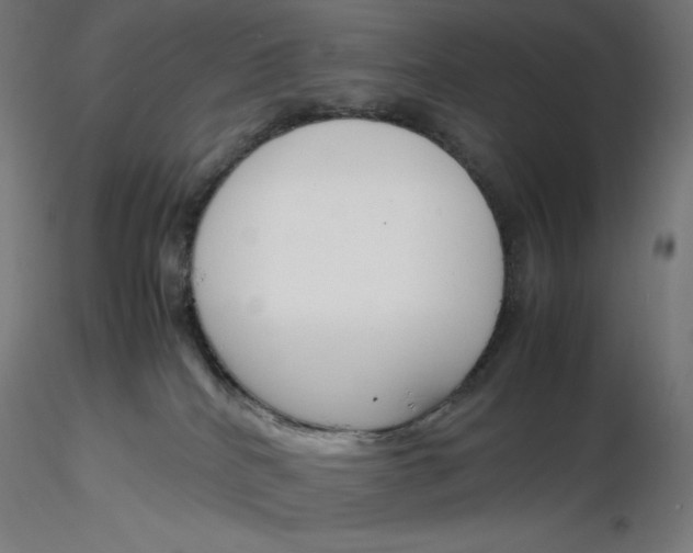 X0000116260040200912291506