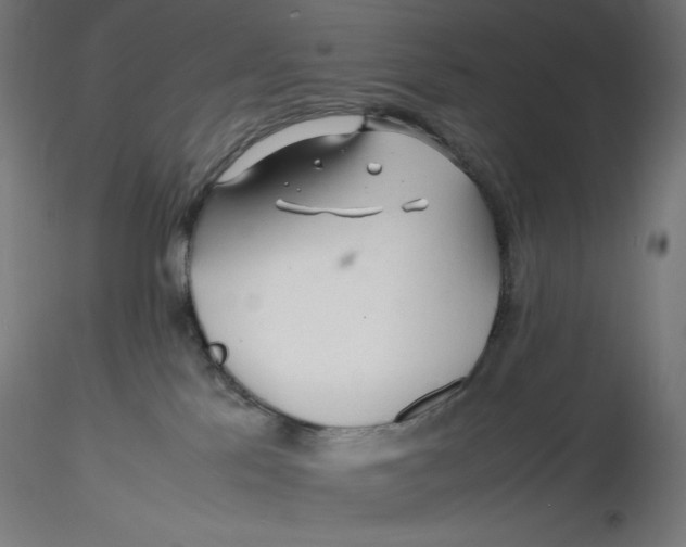 X0000116260041200912291506