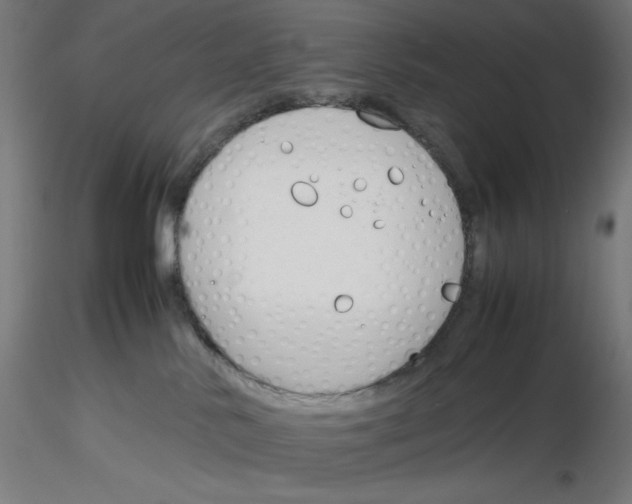 X0000116260042200912291506