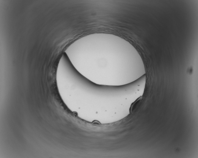 X0000116260043200912291506
