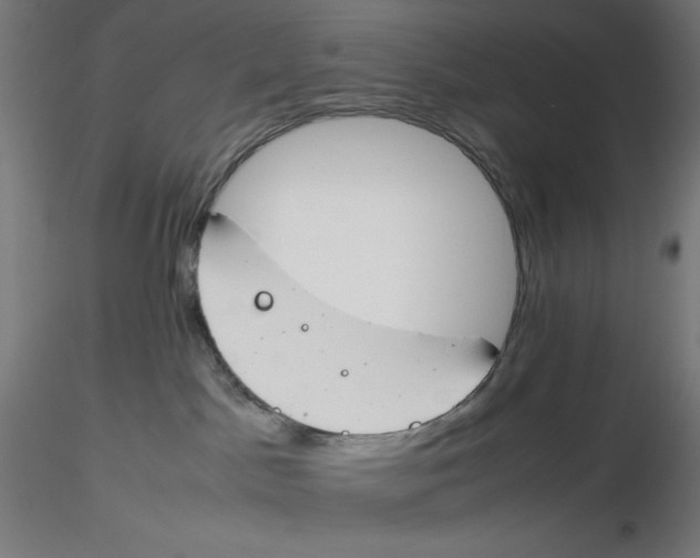 X0000116260045200912291505