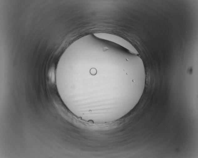 X0000116260046200912291505