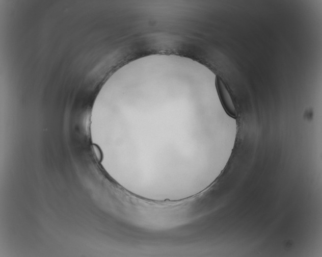 X0000116260047200912291505