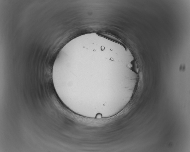 X0000116260048200912291505