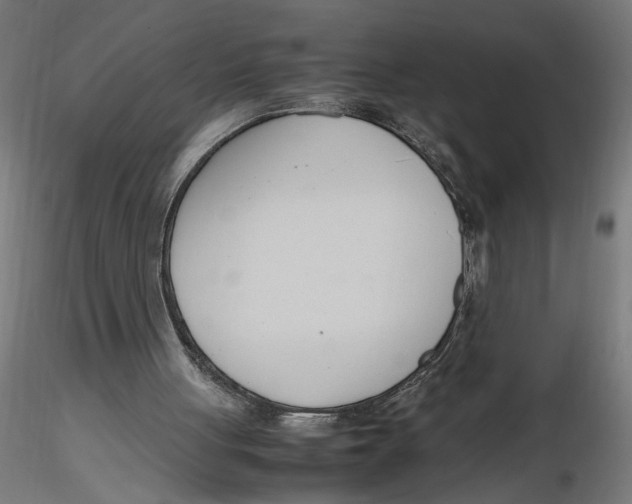 X0000116260051200912291505