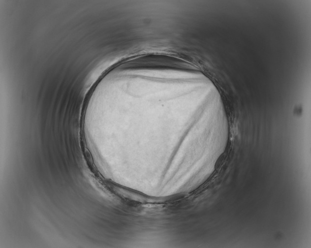 X0000116260052200912291505