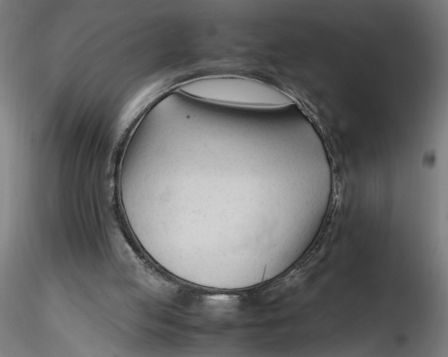 X0000116260053200912291505
