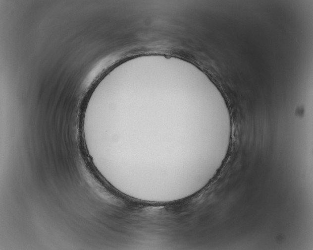 X0000116260054200912291505