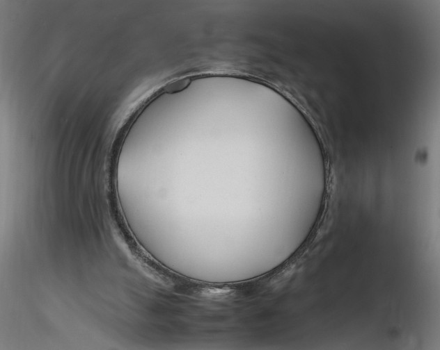 X0000116260055200912291505