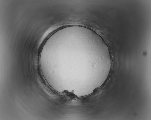 X0000116260056200912291505