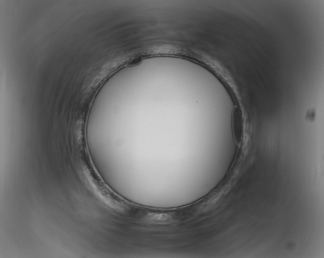 X0000116260057200912291505
