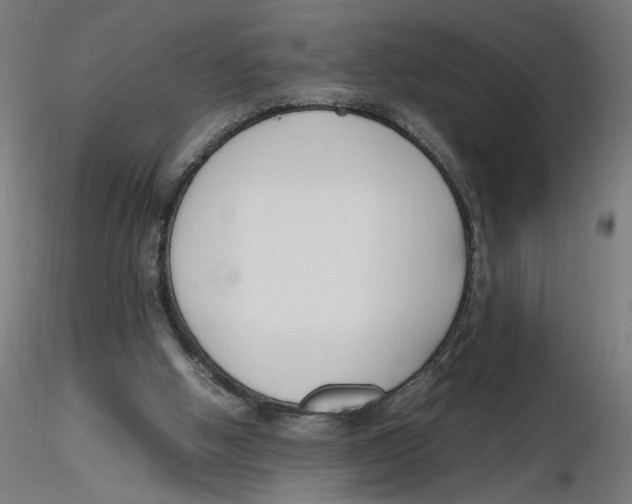 X0000116260058200912291505