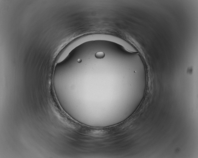 X0000116260059200912291505